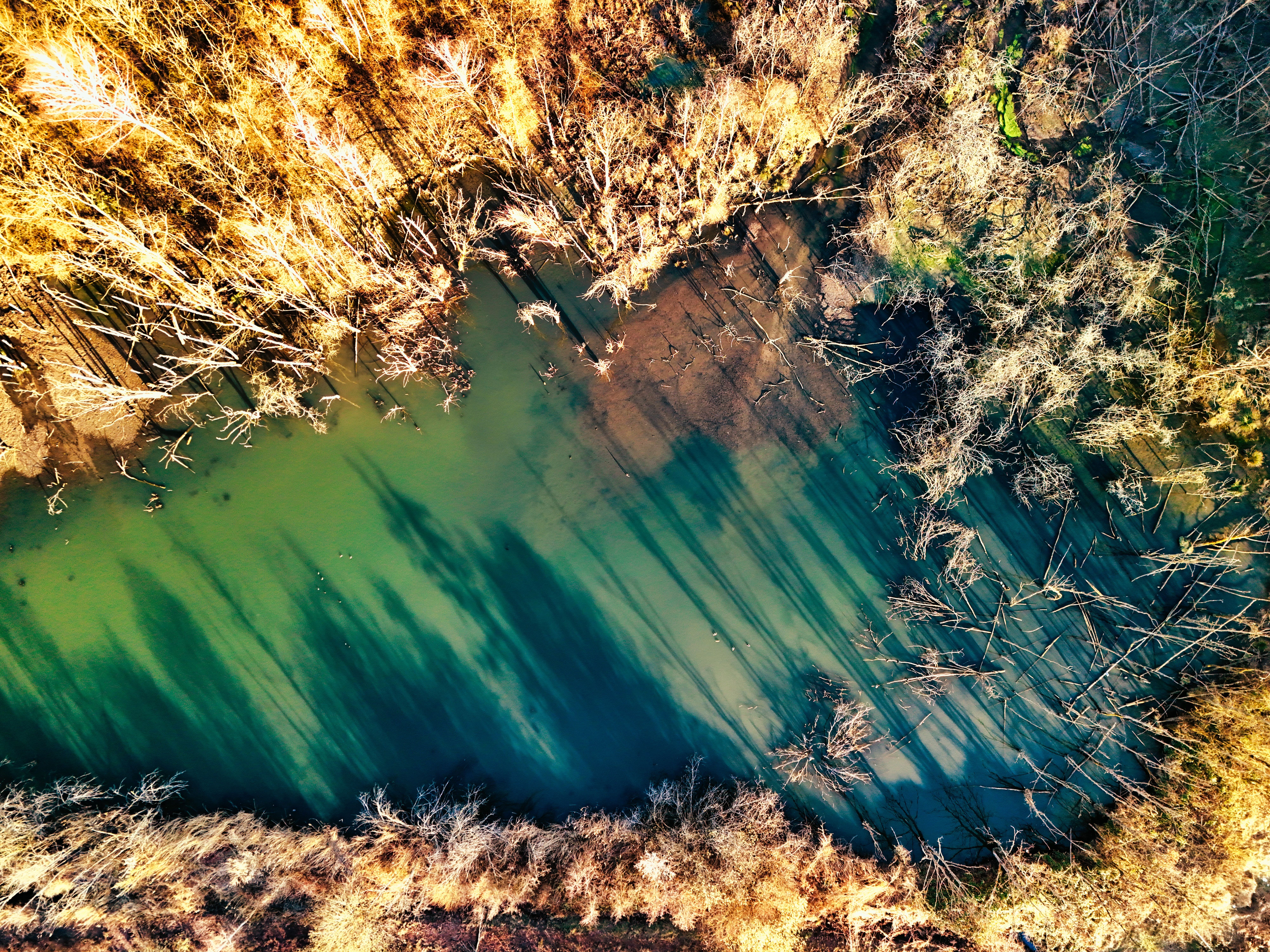 Aerial View of Serene Forest and Lake in Autumn · Free Stock Photo