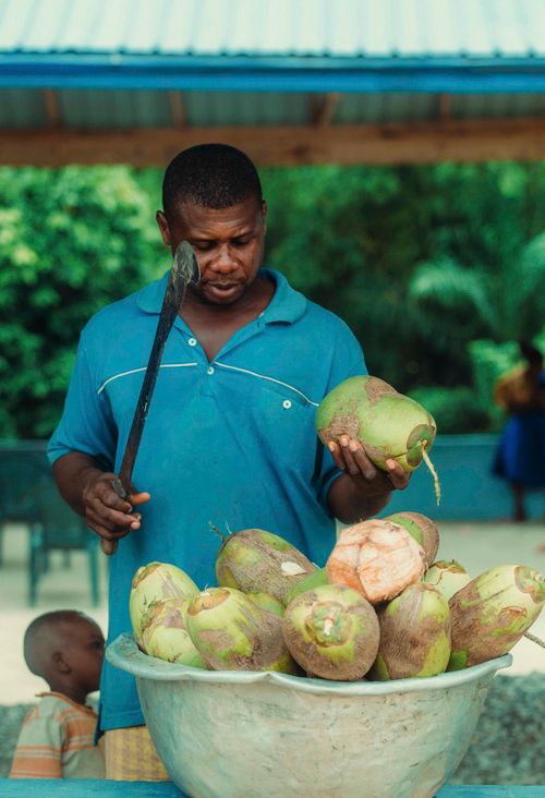 Free Man cutting fresh coconuts at a vibrant Ghanaian market, showcasing local culture and tropical produce. Stock Photo