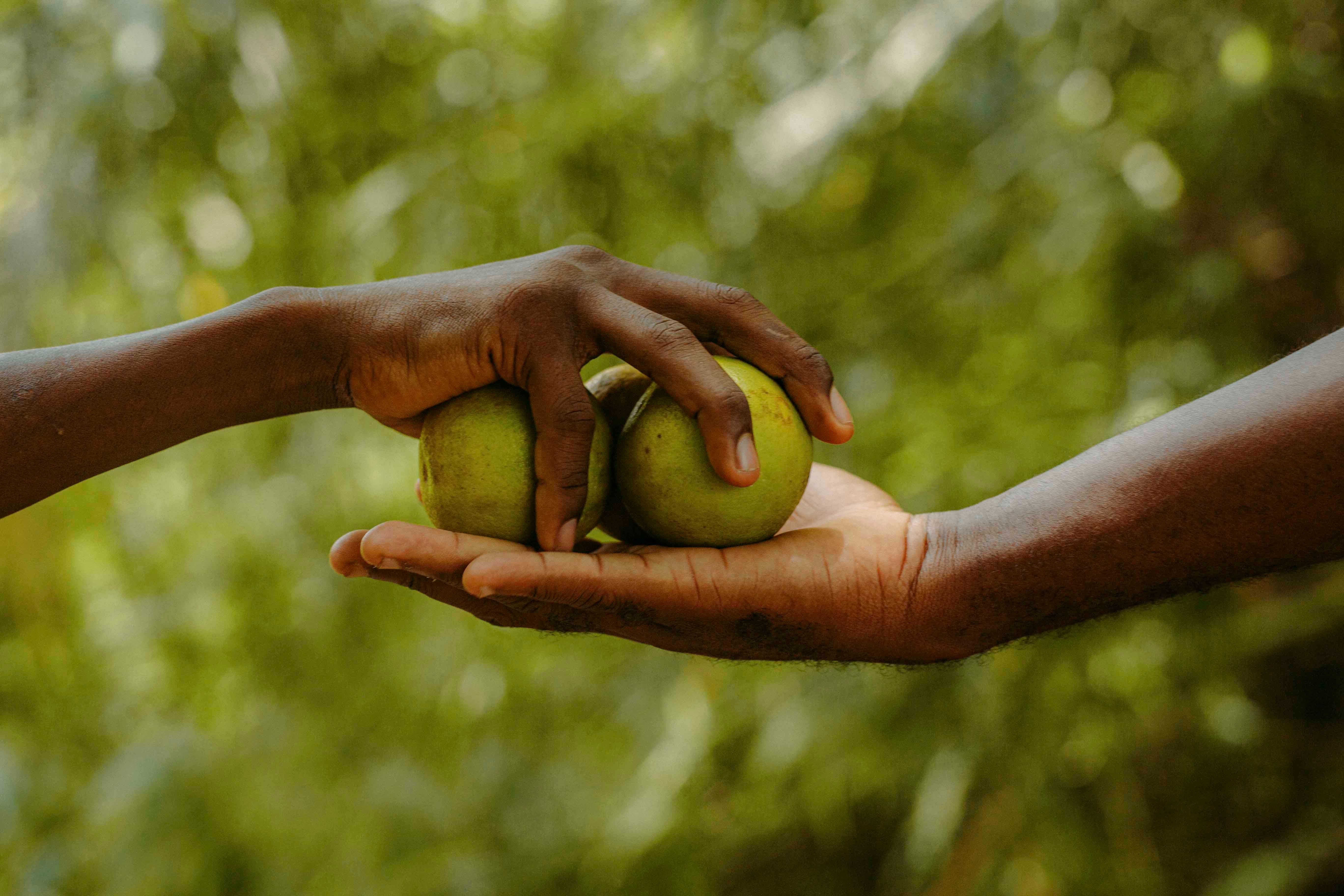 Bridging Africa’s health financing gap: The case for remittance-based insurance — Photo by Zeal Creative Studios on Pexels