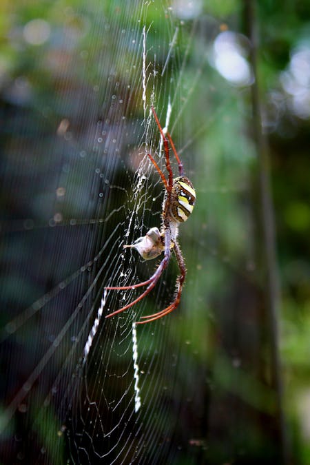 Photo by Nandhu Kumar