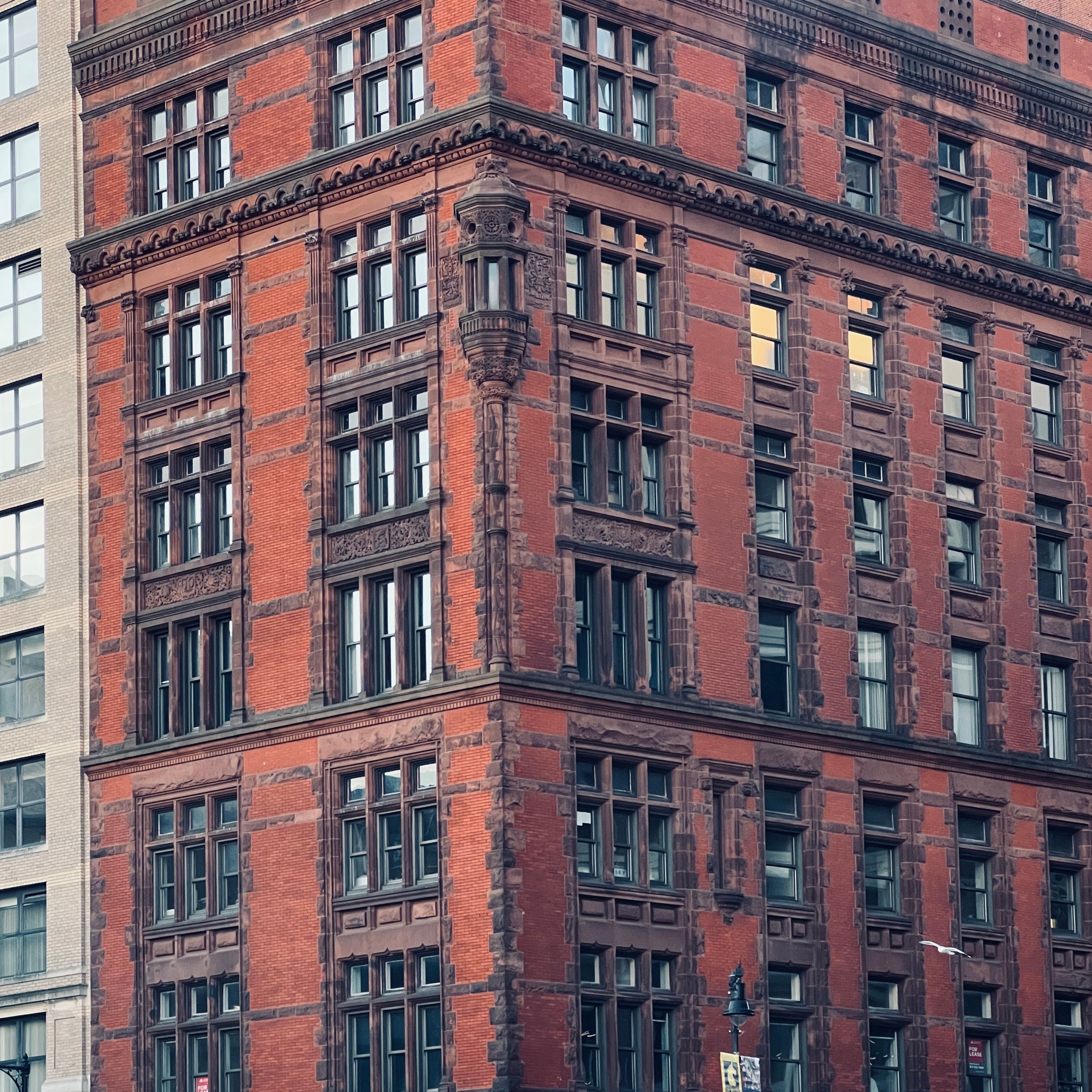 East Ward cover art by Teju on Pexels