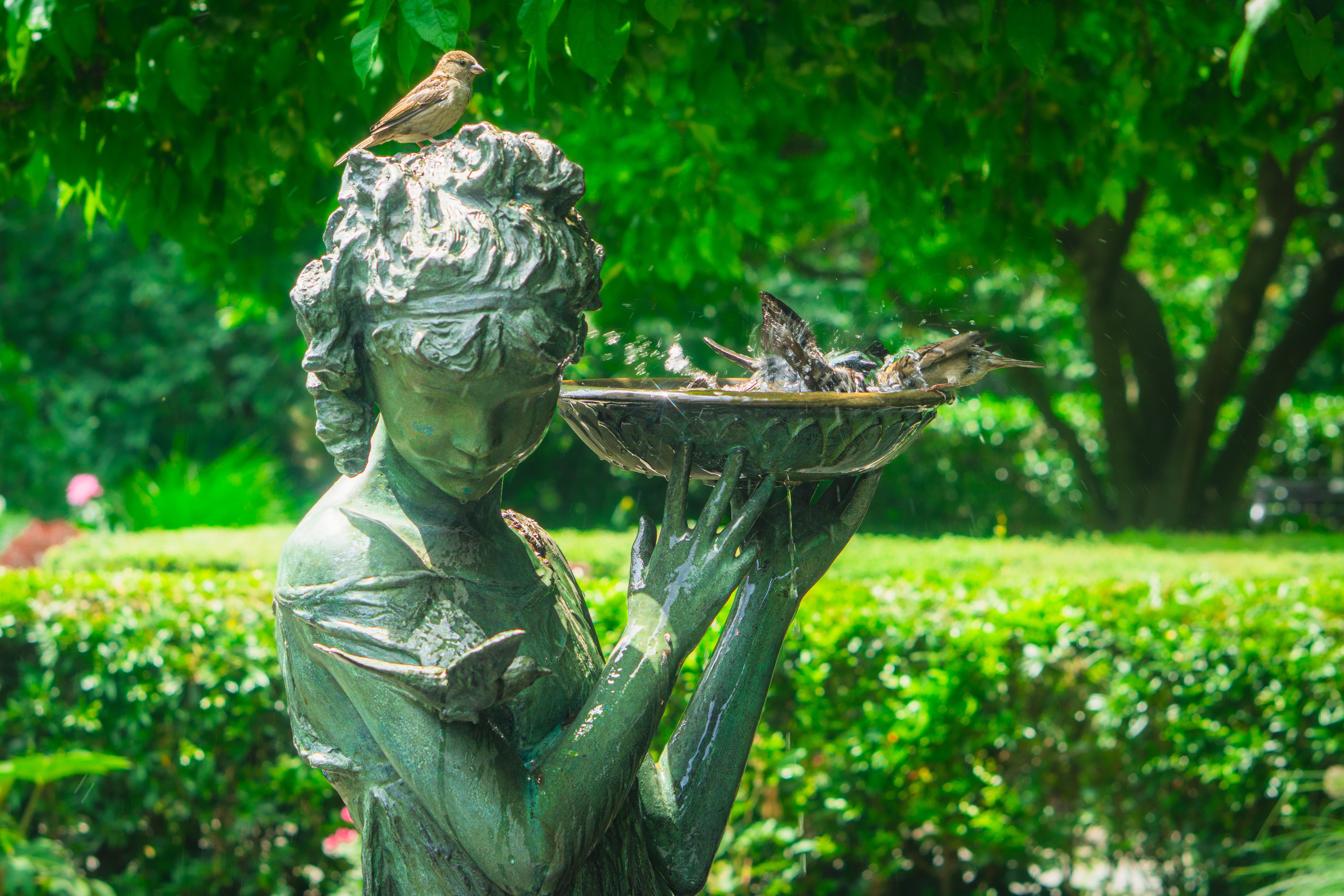 Wildlife Statue Photos, Download The BEST Free Wildlife Statue Stock ...