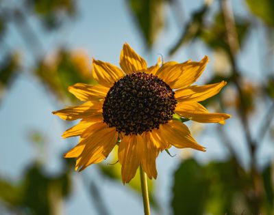 Free Images No Copyright Photos, Download The BEST Free Free Images No