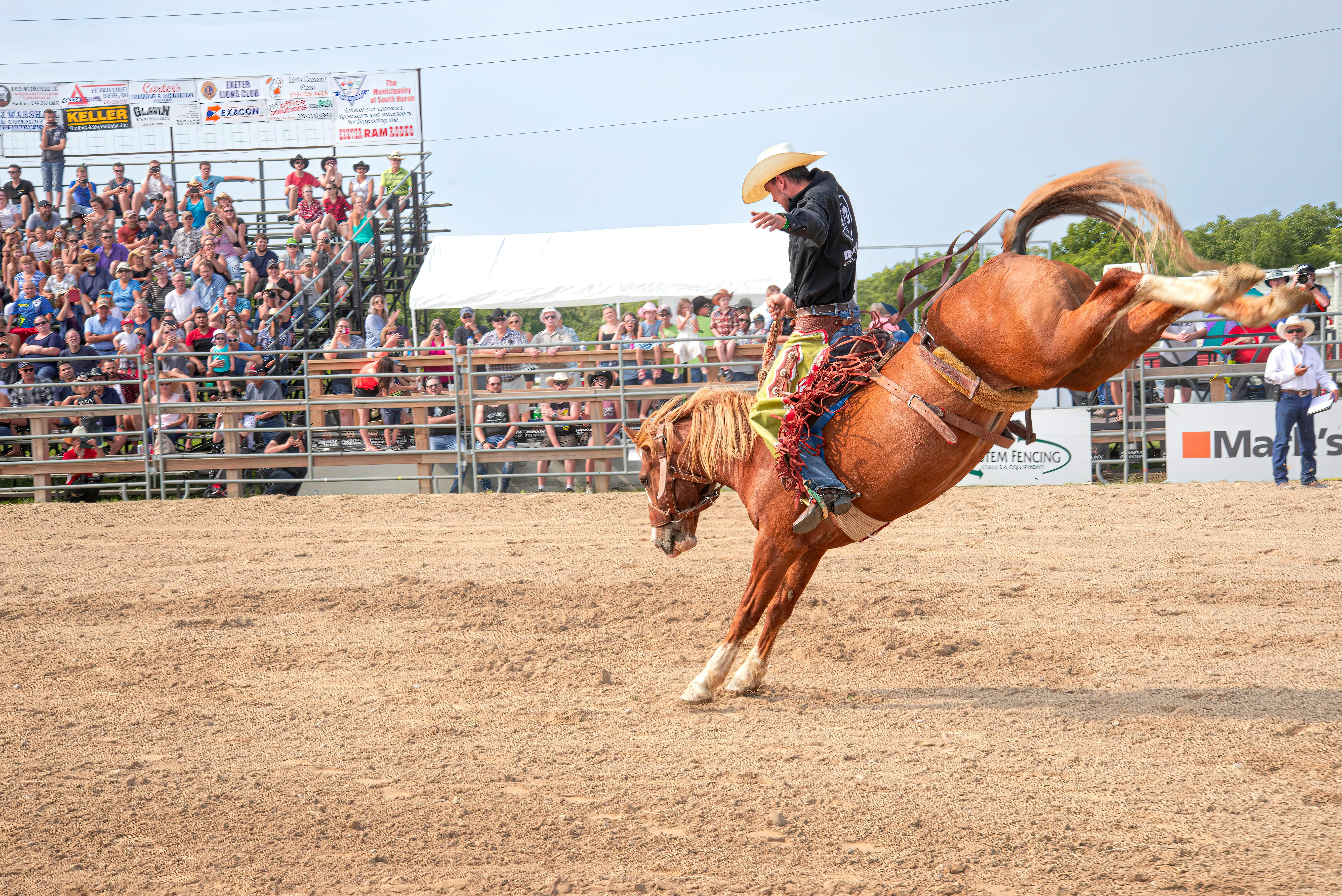 Dynamic rodeo scene with a cowboy on a bucking horse in front of a cheering crowd.