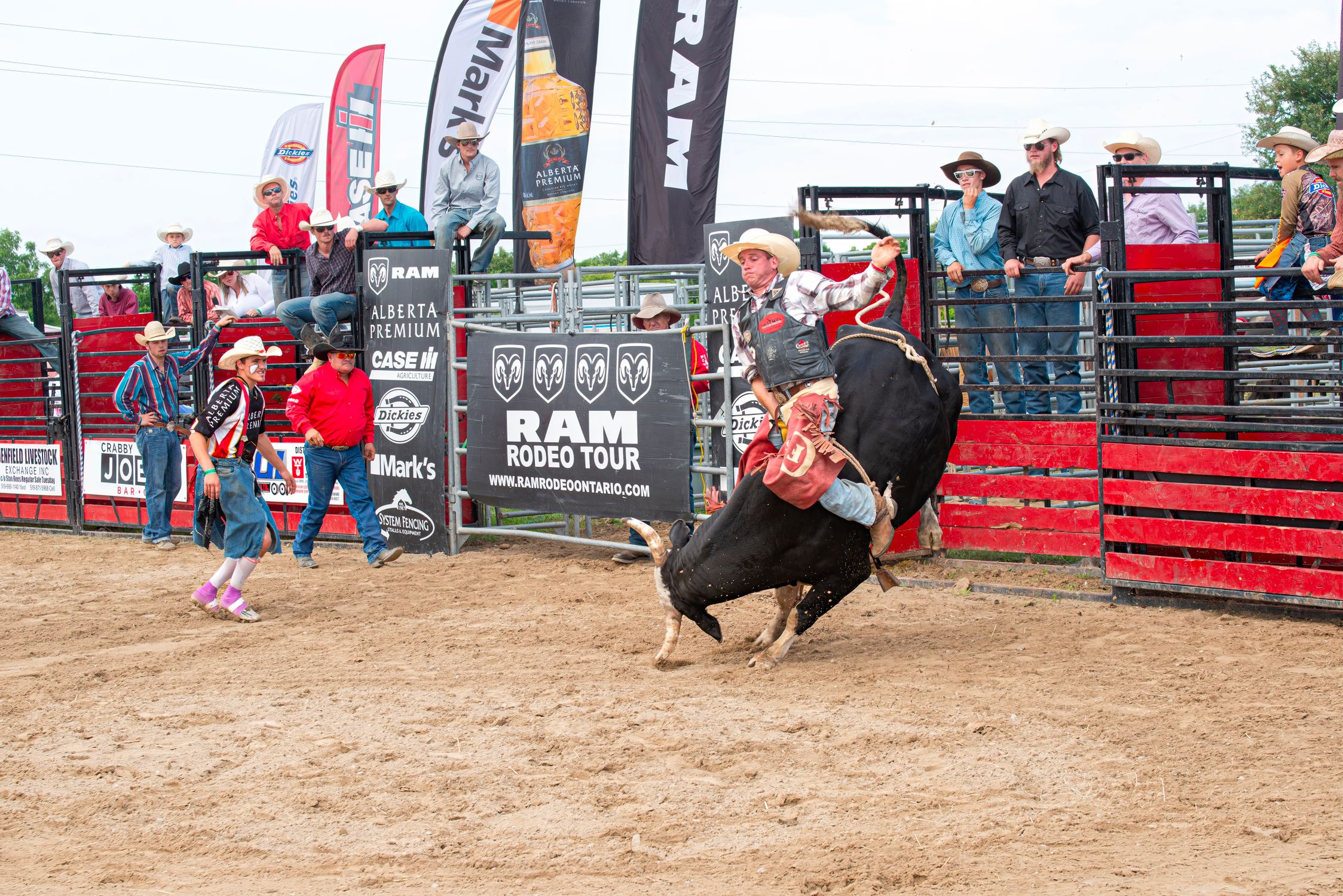 Montria Rodeio Ação Emocionante De Montaria Em Touro Em Um Evento De Rodeio · Foto ...
