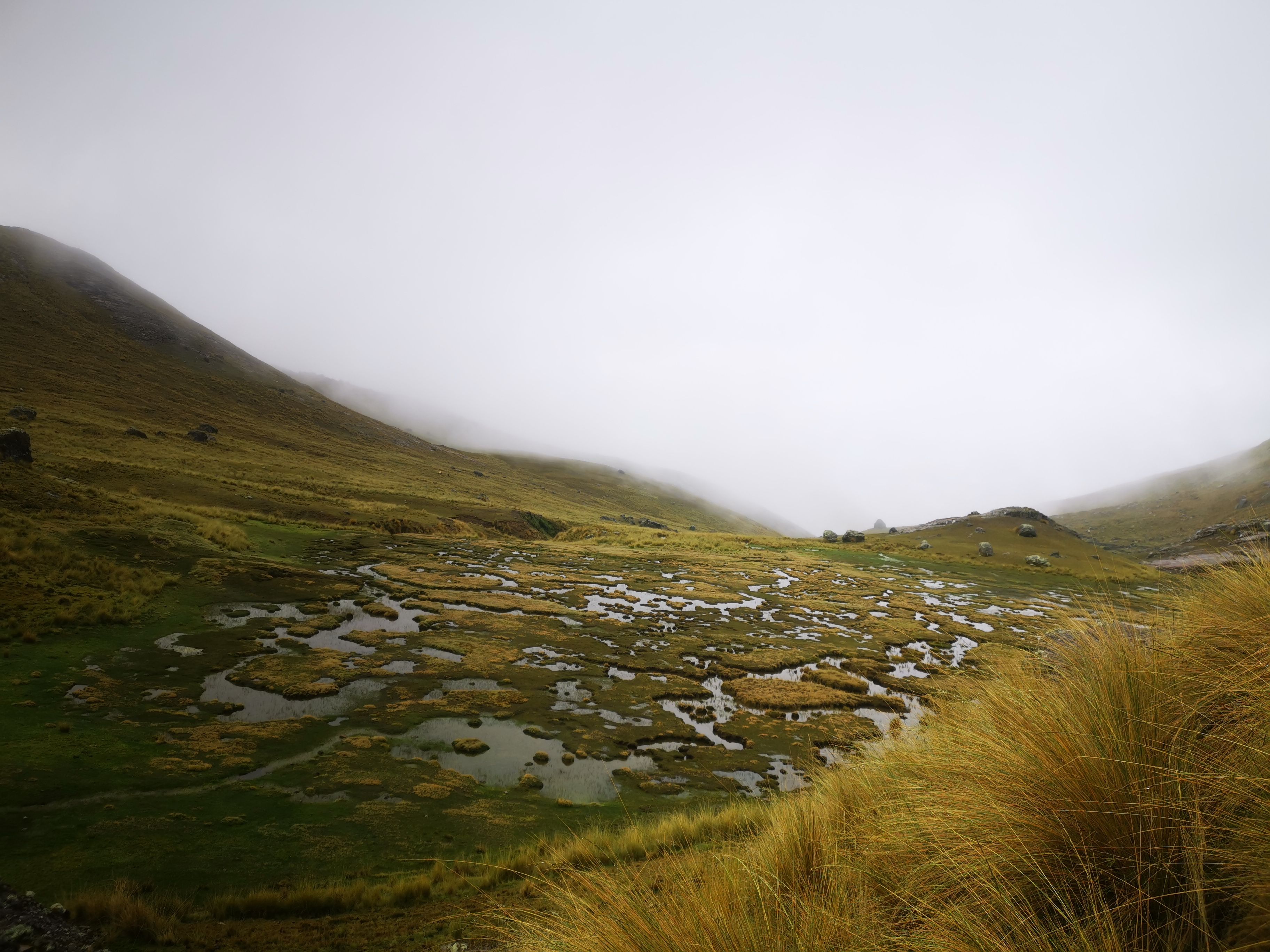 Diseño Sonoro Ambient: Síntesis Granular, Field Recordings y Espacialidad Acústica
