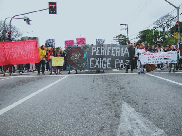 常见盆栽有哪些？名字图片对照看这里！-第9张图片-吾爱花网