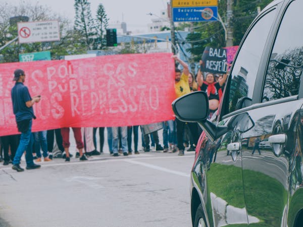 常见盆栽有哪些？名字图片对照看这里！-第10张图片-吾爱花网