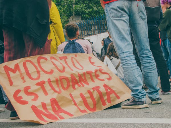 常见盆栽有哪些？名字图片对照看这里！-第16张图片-吾爱花网