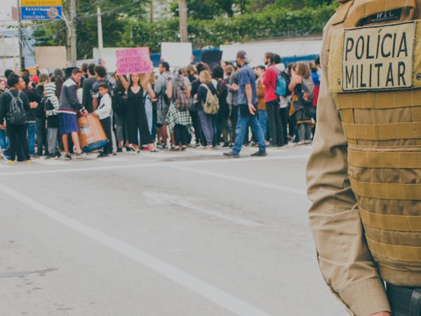 常见盆栽有哪些？名字图片对照看这里！-第17张图片-吾爱花网