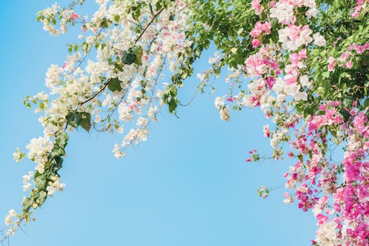  Obama Gabung Bluesky! - gabung 2