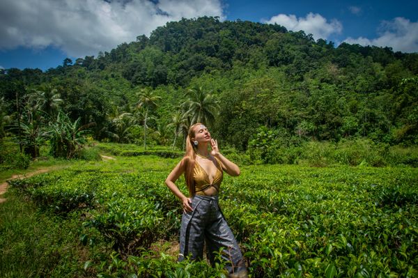 6 Days Sri Lanka Tour Package | Kandy, Nuwara Eliya, Ella, Bentota & Colombo - Activity & Sightseeing