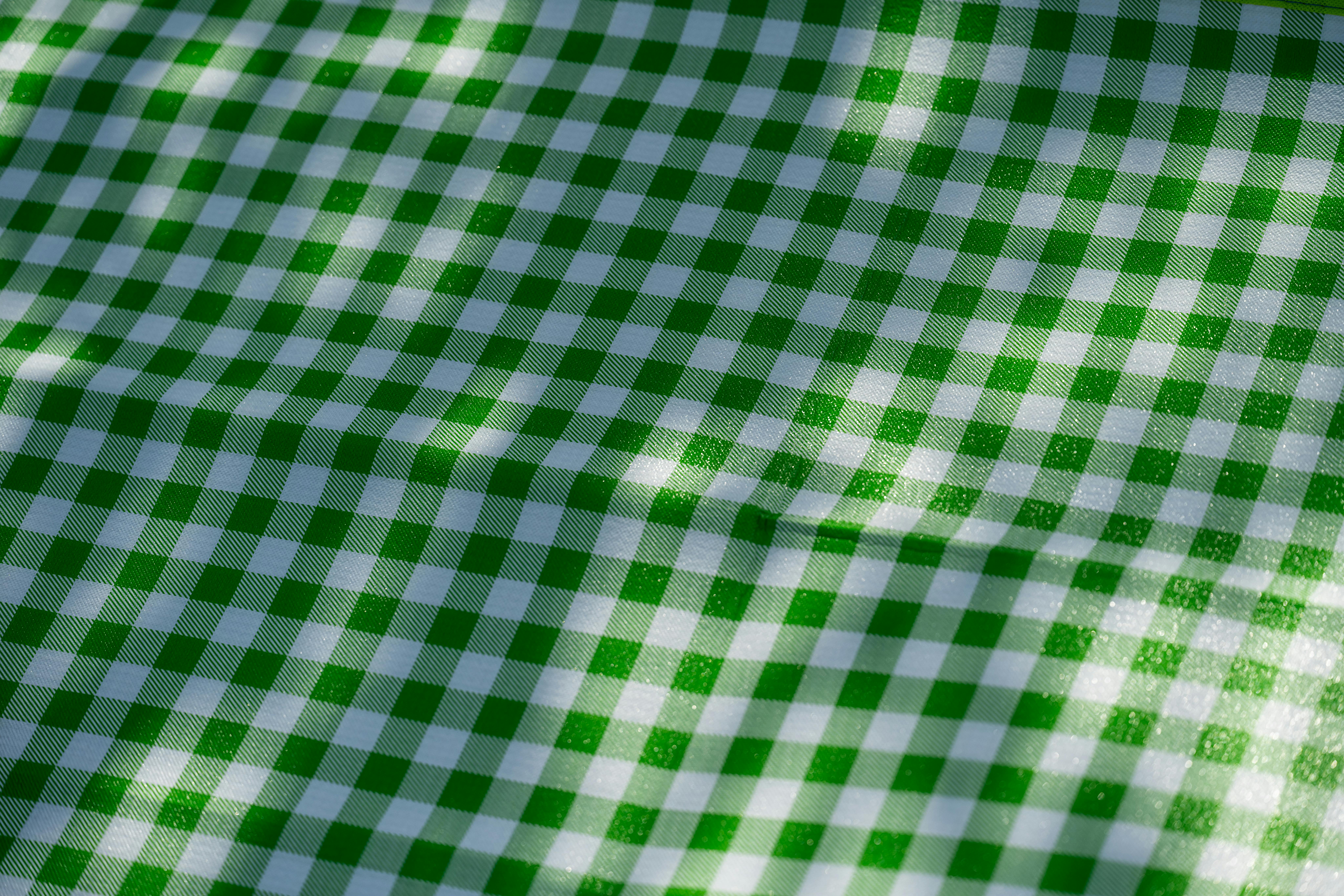 Kostenlos Nahaufnahme eines grün-weiß karierten Stoffes, ideal für einen Picknicktisch. Stock-Foto