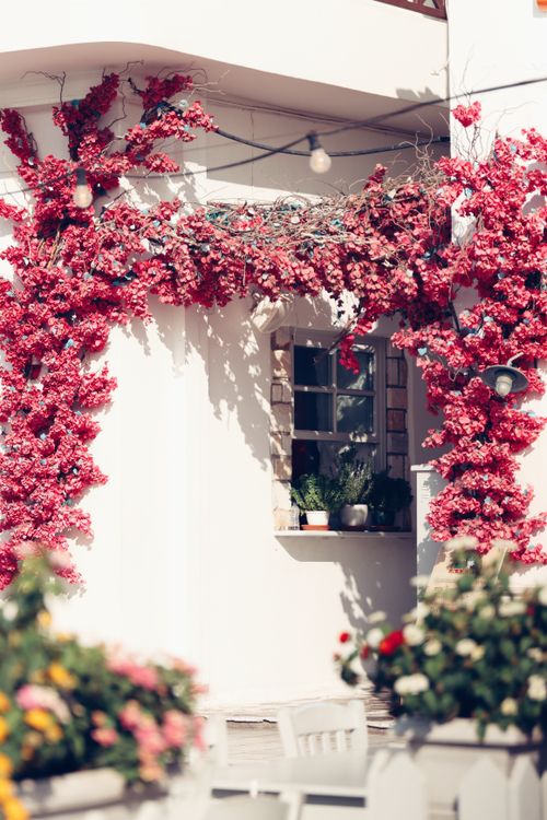 Free Beautiful Naxos house with vibrant bougainvillea, capturing Greek island charm. Stock Photo