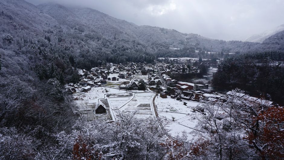 Shirakawa-go Light-Up