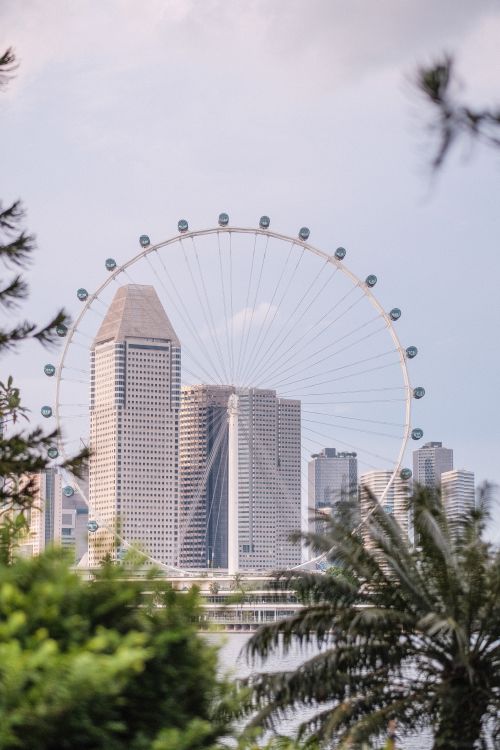 Free Iconic Singapore Flyer with modern city skyline framed by lush greenery, captured during the day. Stock Photo