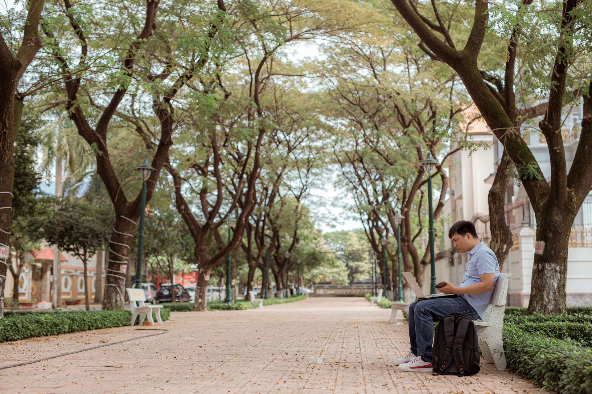 A young man uses his laptop on a bench in a scenic tree-lined park, offering a peaceful working environment.