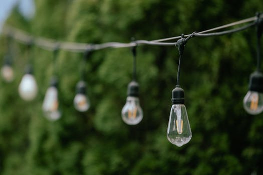 Close-up of string lights hanging outdoors with green foliage in the background.