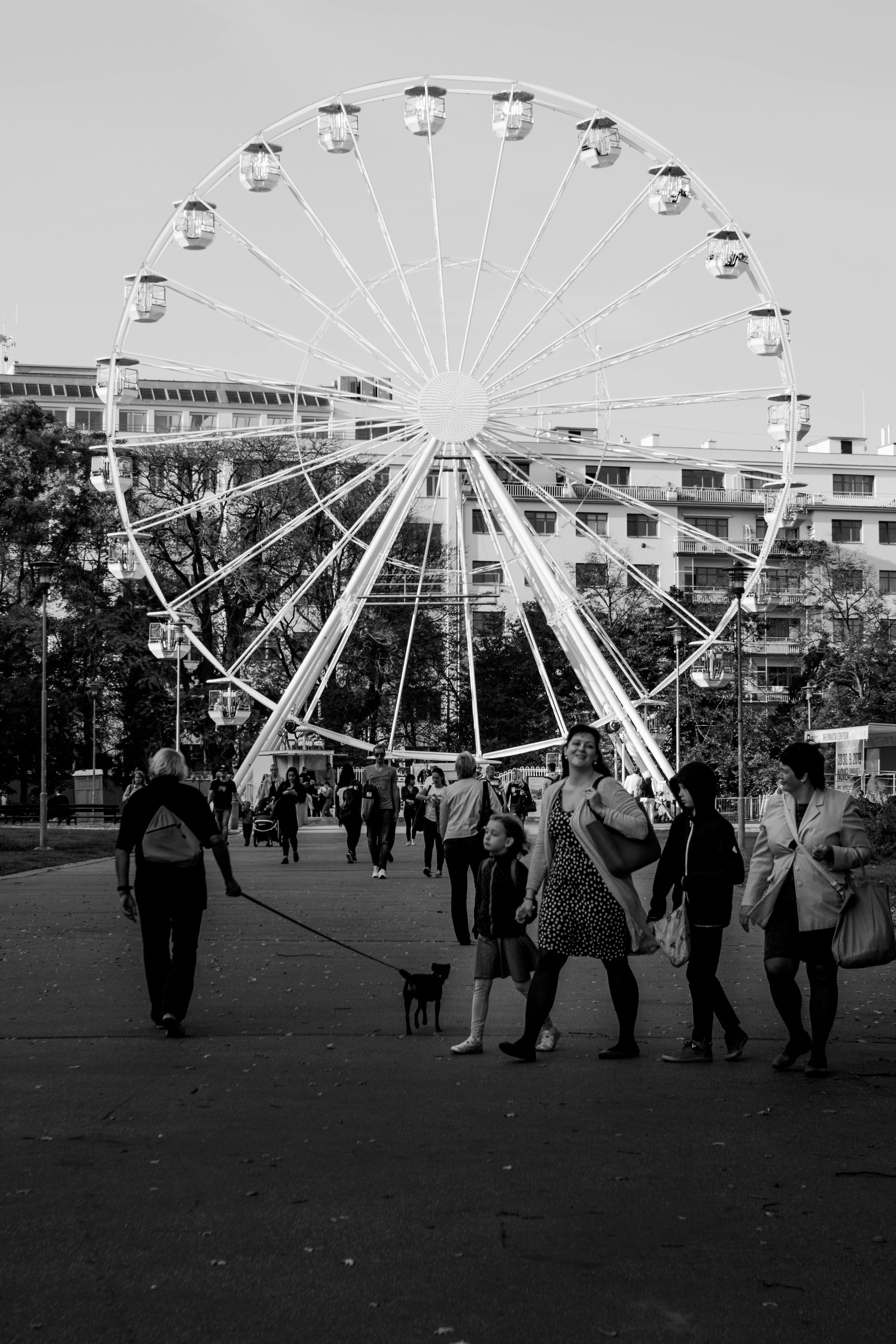 这张单色图像捕捉了捷克共和国布尔诺游乐场上的摩天轮和人们