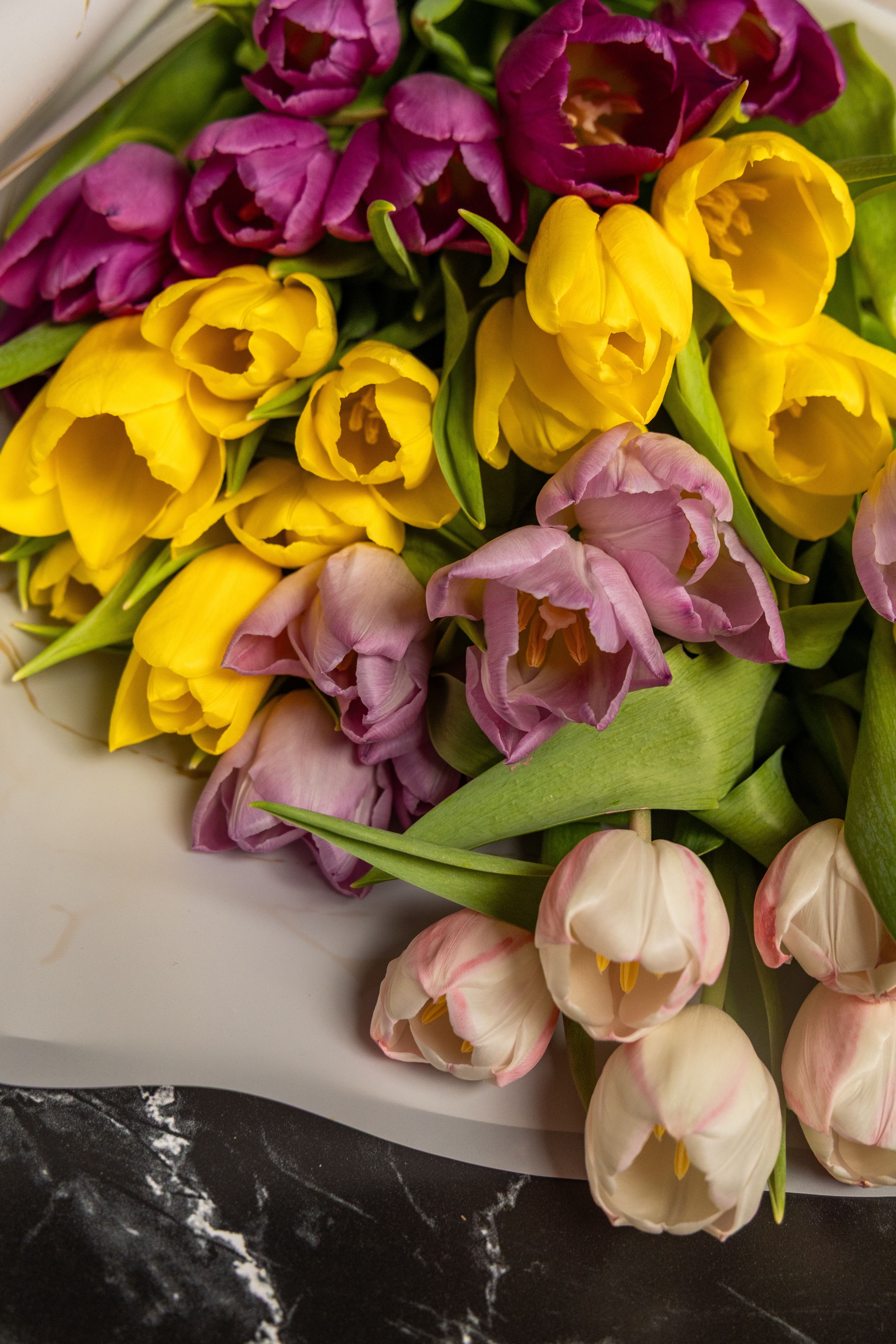 Gratuit Tulipes Photos