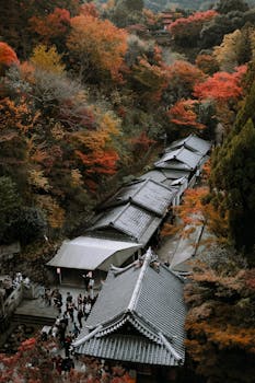 A breathtaking aerial view of Kiyomizu-dera Temple in Kyoto amid vibrant autumn foliage.