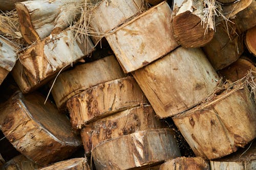 Close-Up Photo Of Wood Logs