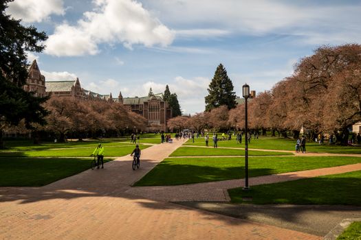 college campus tutoring