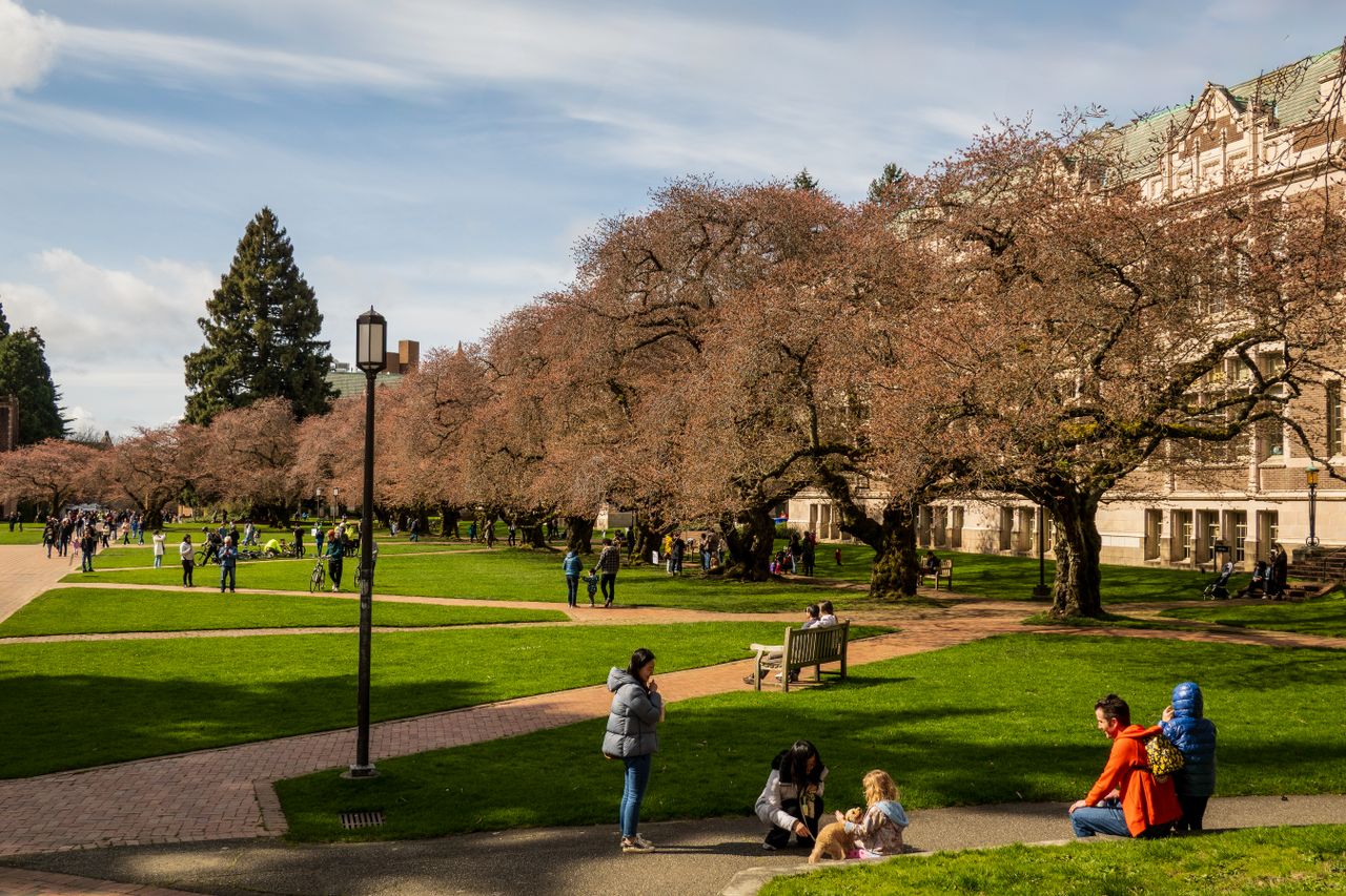 Aulas em Seattle começam em 2 de setembro; pré-escola e jardim entram uma semana depois