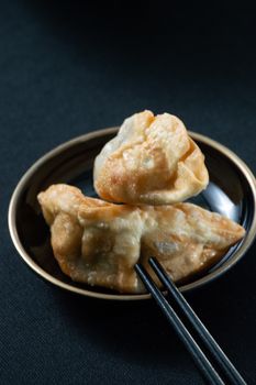 Dumpling Or Pot Sticker Wonton