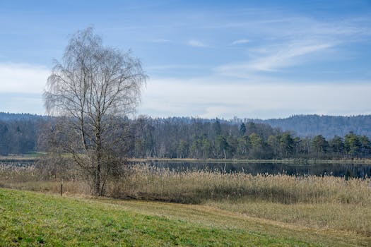  Obama Gabung Bluesky! - bluesky! 3