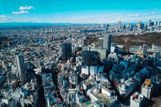 What are the Best Things to do in Tokyo