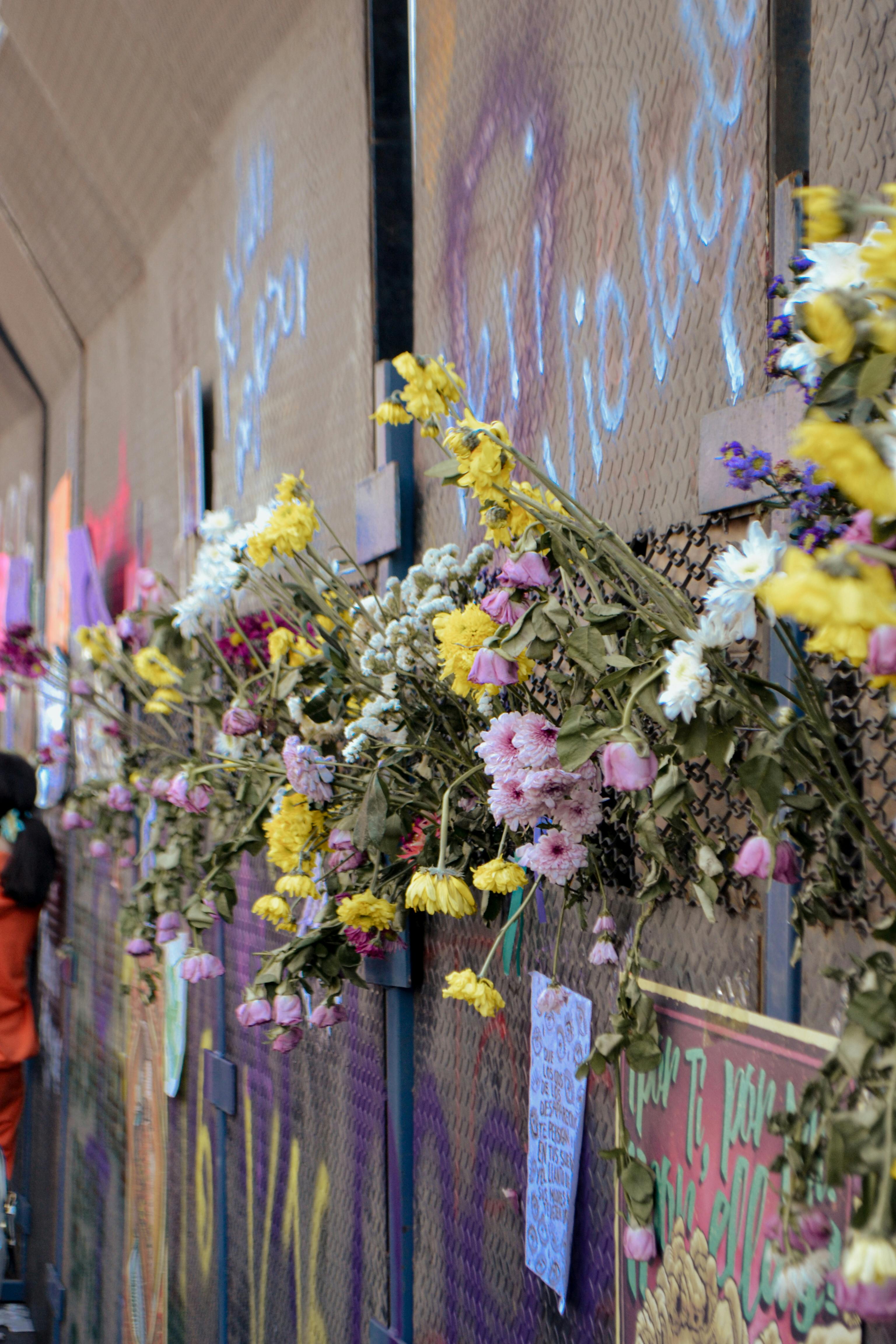 Vibrant floral tributes adorn a graffiti-covered wall at an outdoor protest.