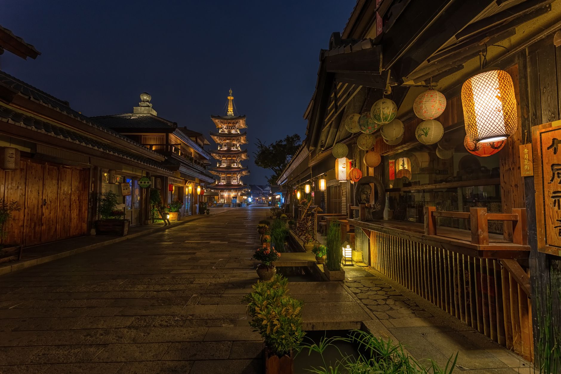 Kyoto's Ethereal Nights: Unveiling Maruyama Park's Cherry Blossom Illumination Schedule