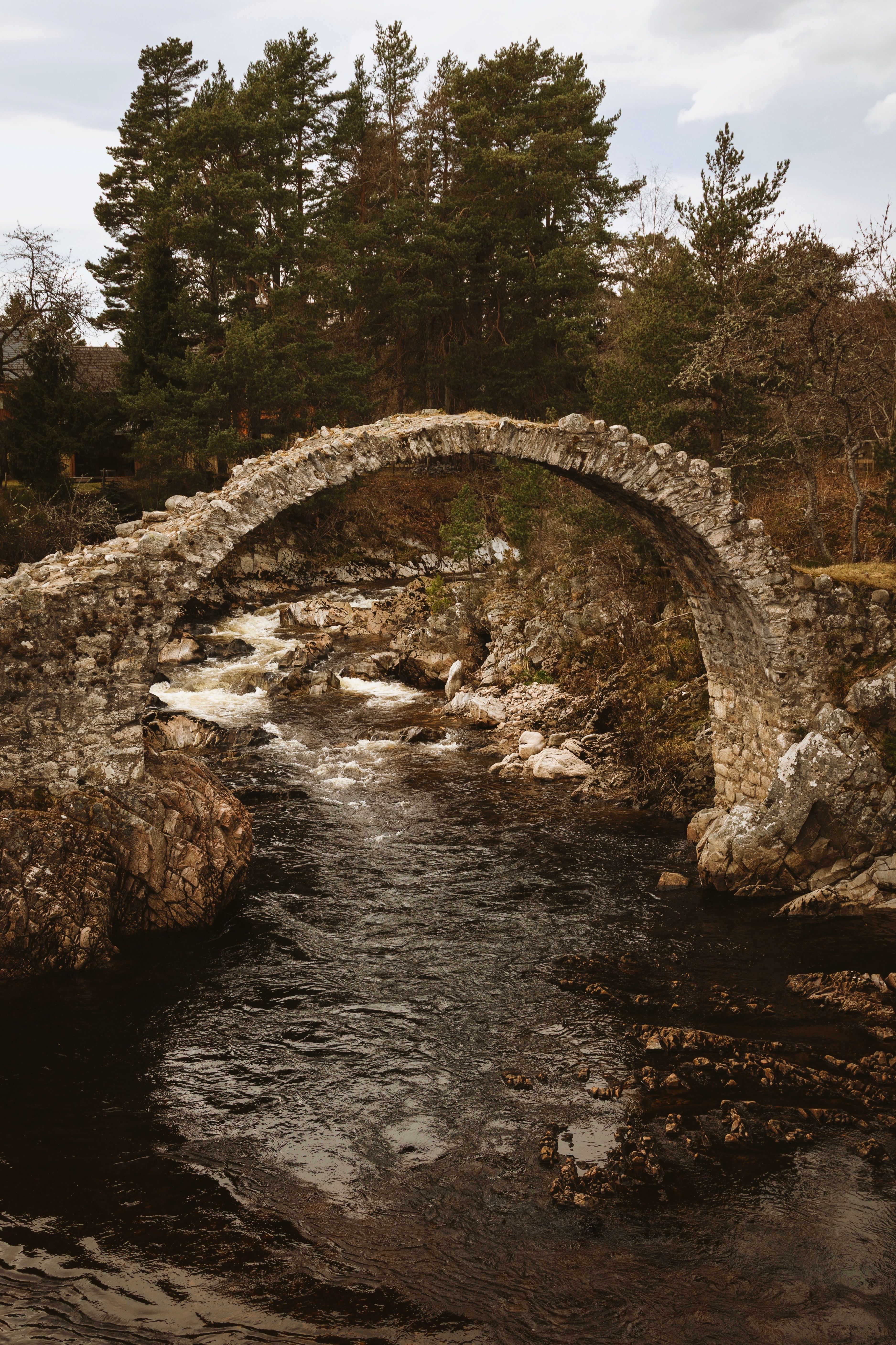 Historic Stone Bridge in Cairngorms National Park · Free Stock Photo