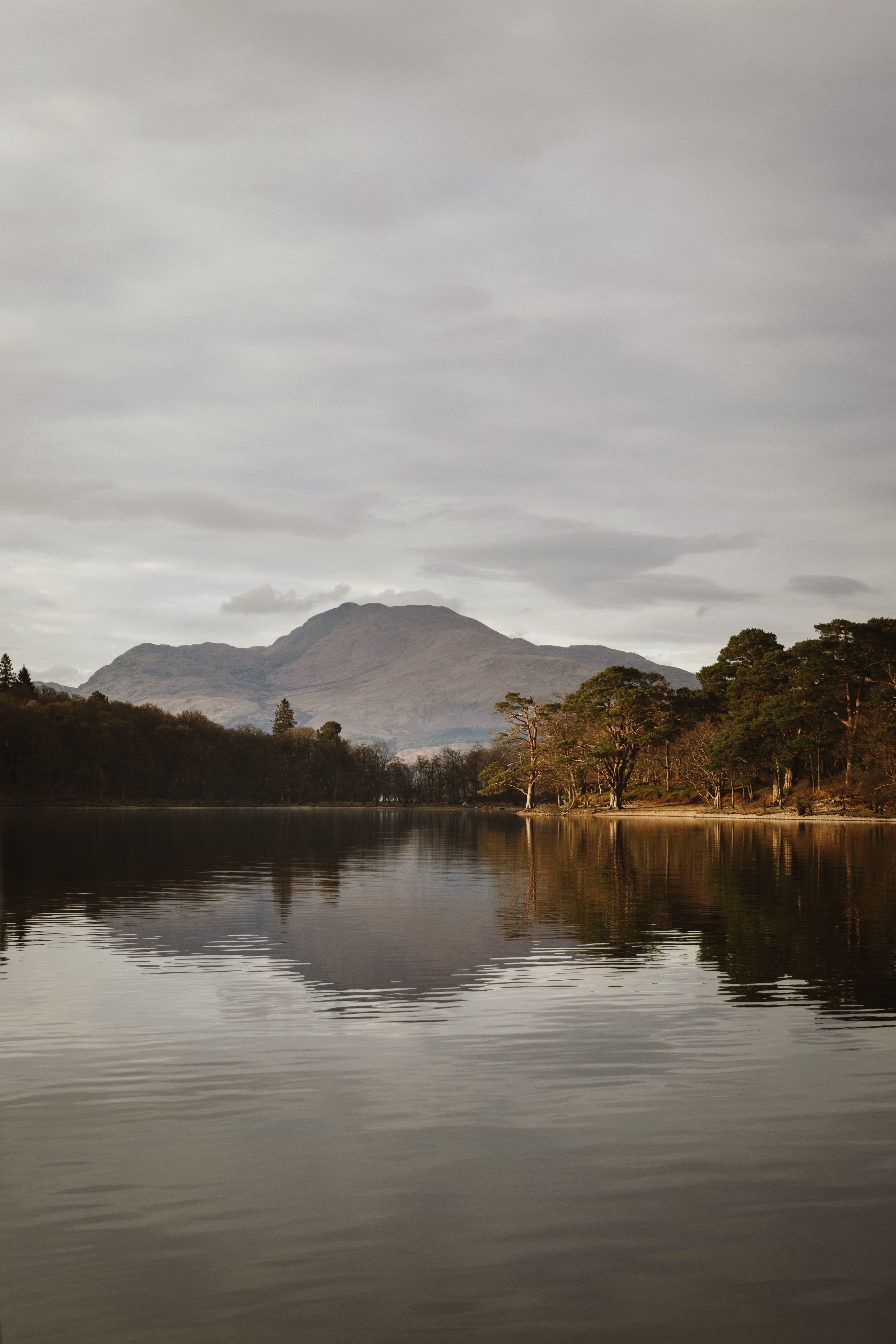 LOCH LOMOND TREE, Scotland Lonely Tree Photography Card, Millarochy Bay Photograph, Blank - View #6