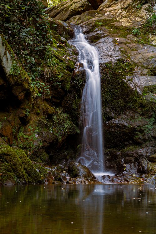 Free A peaceful waterfall cascading over moss-covered rocks in Jendouba, Tunisia. Stock Photo