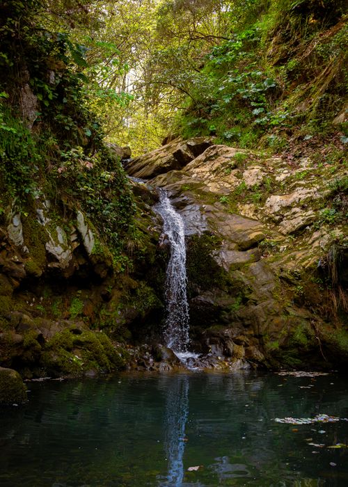 Free A tranquil waterfall amidst lush greenery in Jendouba, Tunisia, showcasing natural beauty and serenity. Stock Photo