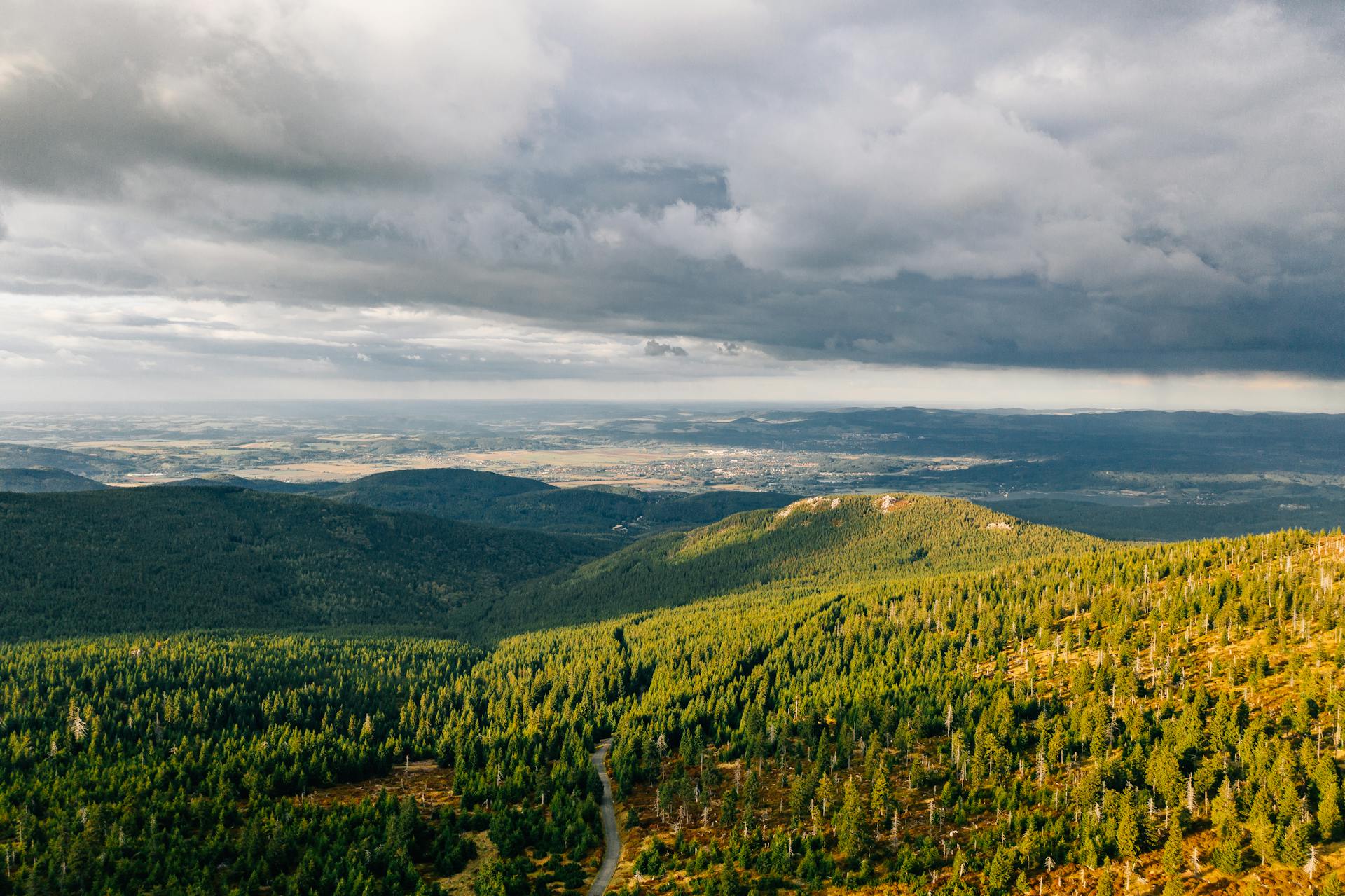 Aerial landscape of lush forests in Karpacz, Poland under dramatic clouds and clear horizon.