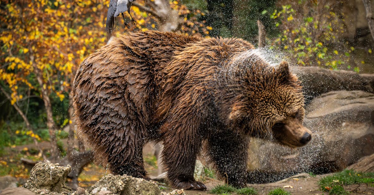 威力彩頭獎飆9.2億!💰🎉