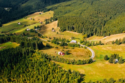 Free Aerial Photo of Curve Road Near Trees Stock Photo