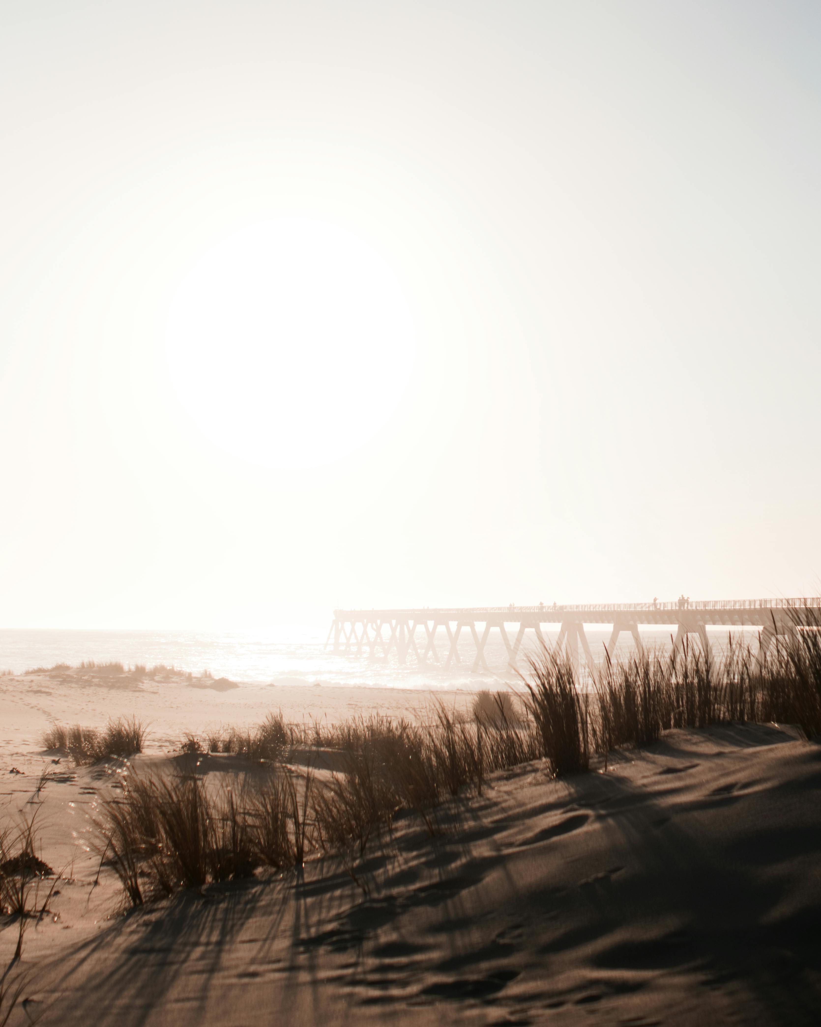 黄昏时分的码头与沿海沙丘，为设计提供了阳光明媚的海滩场景版权空间