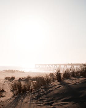 黄昏时分的码头与沿海沙丘，为设计提供了阳光明媚的海滩场景版权空间