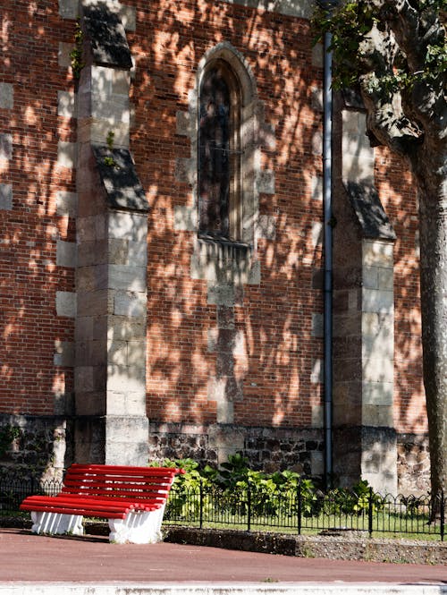 Fotobanka s bezplatnými fotkami na tému lavička, strom, tieň