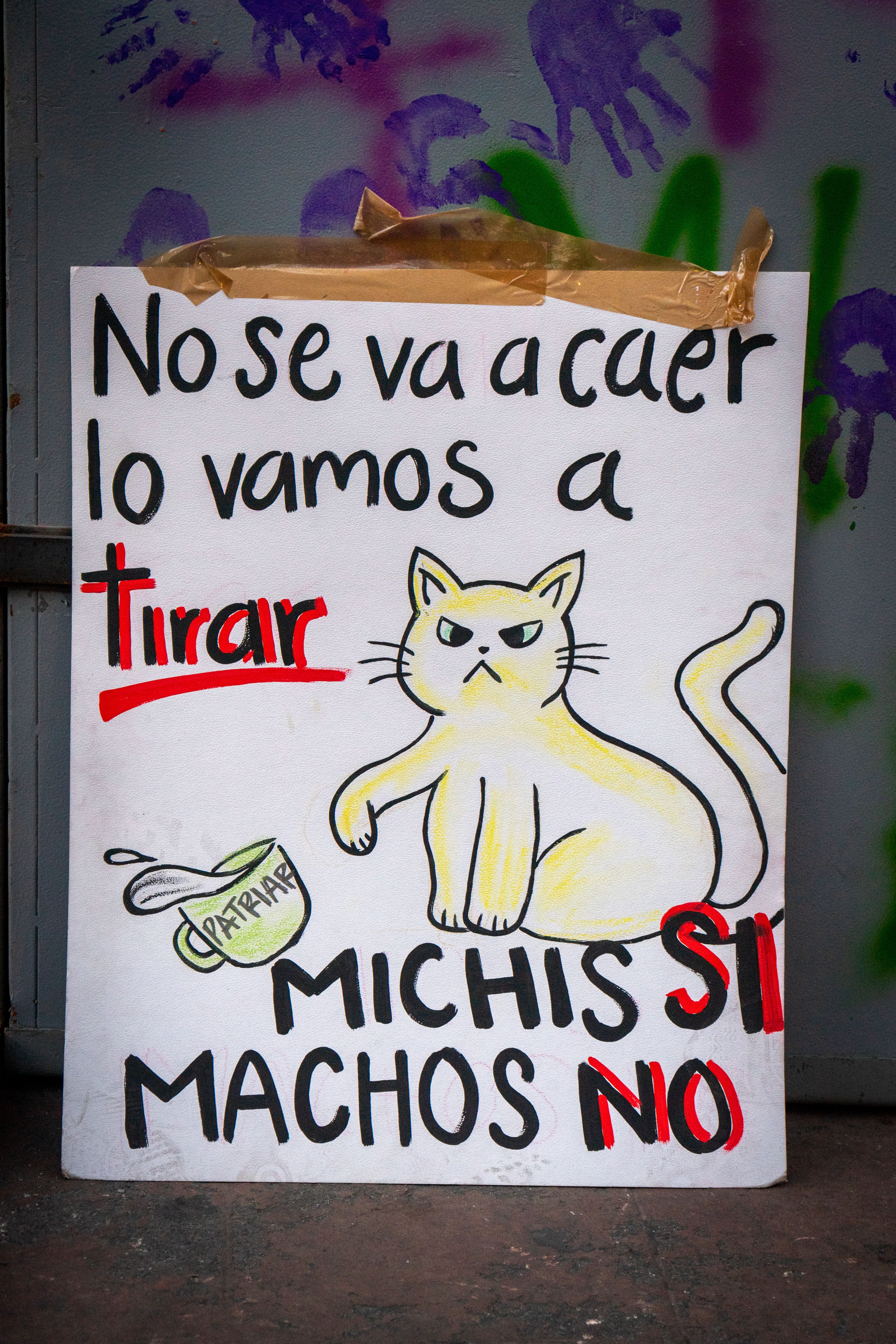 Cat Protesting Climate Change Photos, Download The BEST Free Cat ...