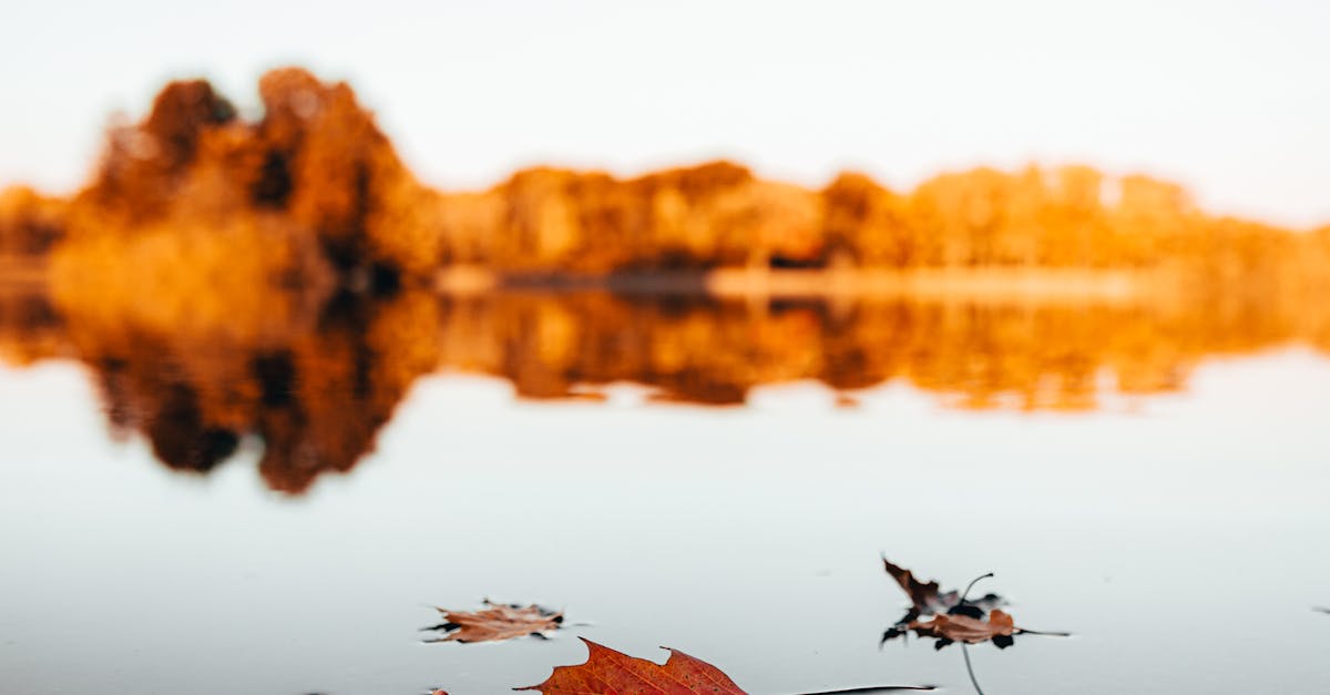 Outdoor activities in October