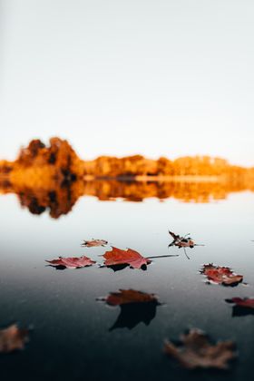 autumn wallpaper