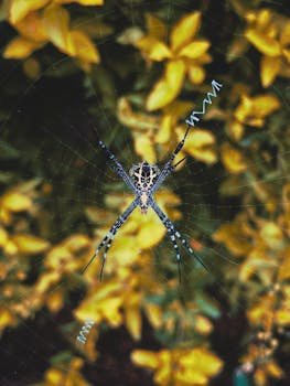 Detailed macro of a garden spider on its web surrounded by blurred yellow flowers.