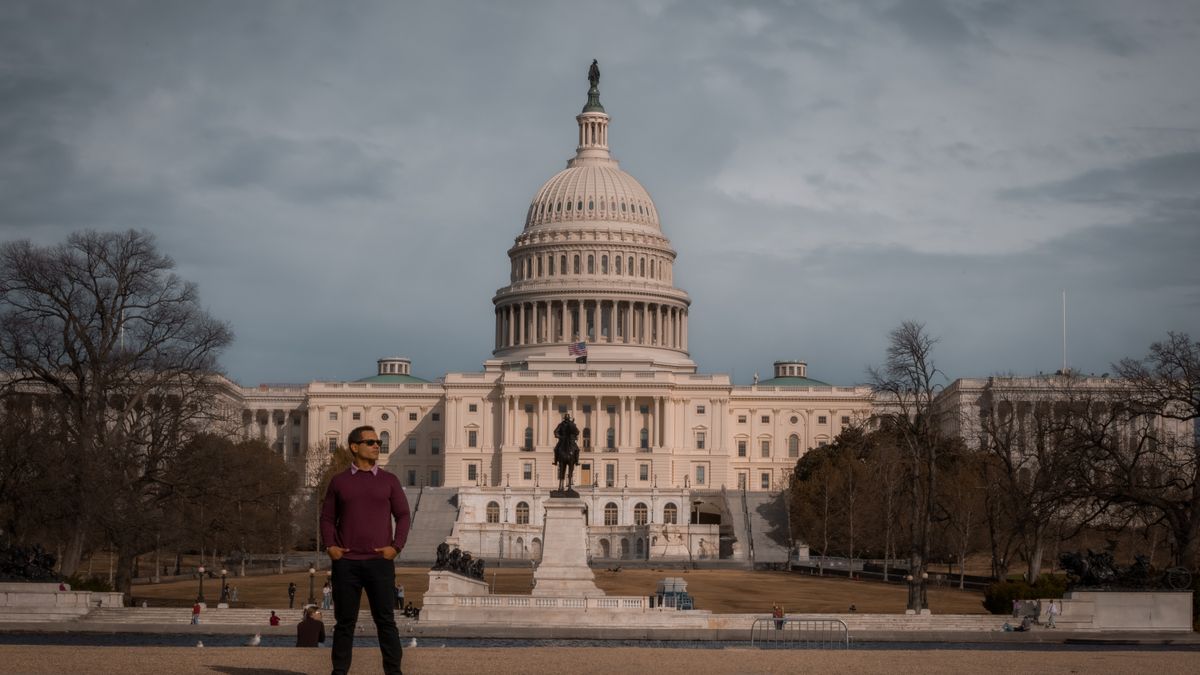 Best Pet Product Giveaways in Washington, DC: 2026 Local Guide