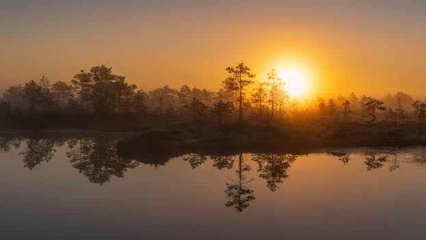 Peaceful sunrise with light reflections on marsh water in Pillapalu, Estonia.