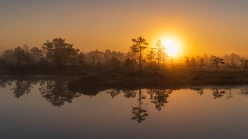 Free Peaceful sunrise with light reflections on marsh water in Pillapalu, Estonia. Stock Photo